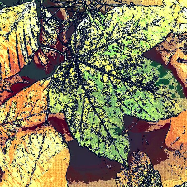 FALLEN LEAVES