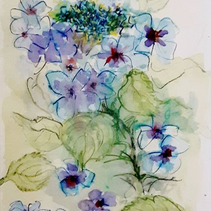 HYDRANGEAS - Watercolour/Pastel on paper - 80x100