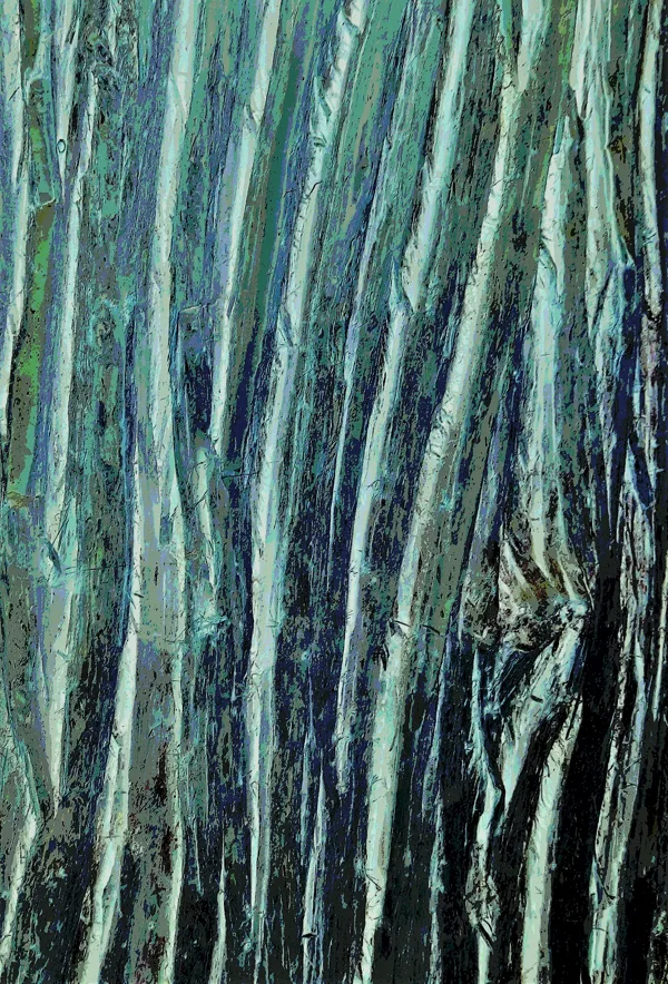 TREE BARK