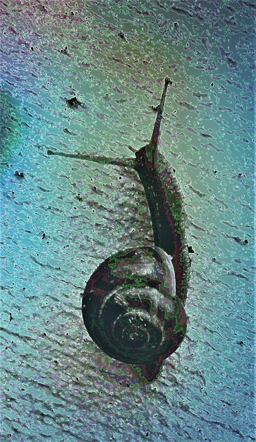 MY SPECIAL FRIEND