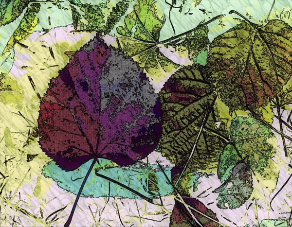 FALLEN LEAVES