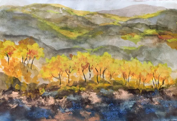 INDIAN SUMMER - Watercolour on  paper - 40x50