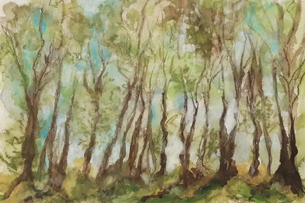 INTO THE LIGHT - Watercolour on paper - 40x50
